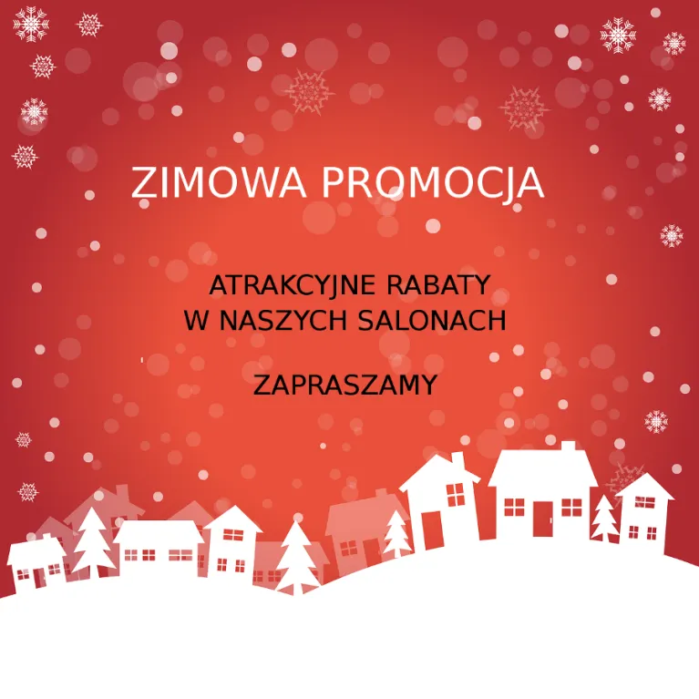 Zimowe atrakcje tylko z naszą firmą!
