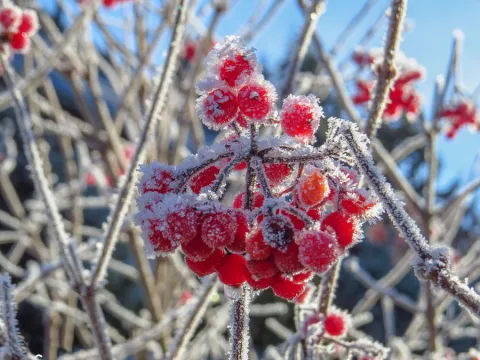 Ostatnie dni promocji!