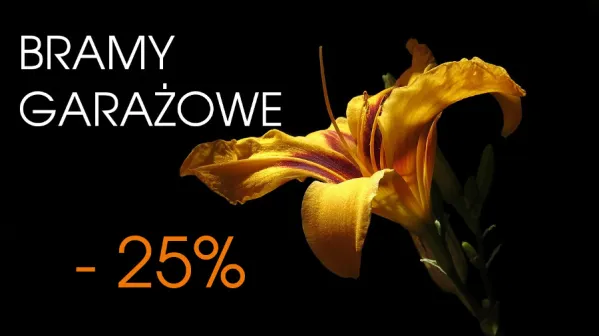 Promocja bram garażowych segmentowych