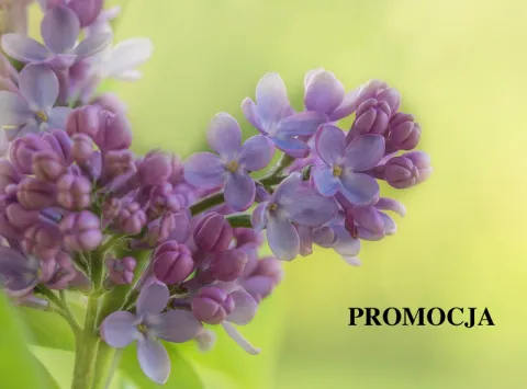 Nowa promocja bram garażowych segmentowych