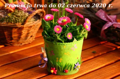 Promocja okna V82 i Drzwi Premium przedłużona!